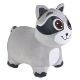 Racoon